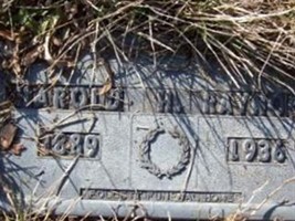 Harold H Raynor