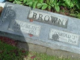 Harold J. Brown