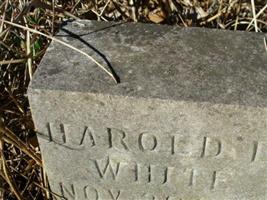 Harold L White