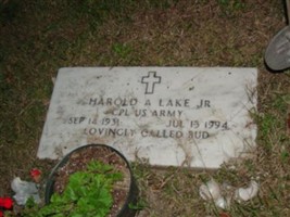 Harold Lake, Jr