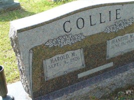 Harold M Collie Harold M Collie