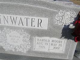 Harold Moore Rainwater