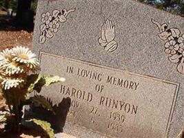 Harold Runyon