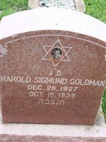 Harold Sigmund Goldman
