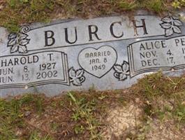 Harold T Burch