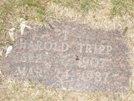 Harold Tripp
