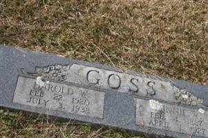 Harold W Goss