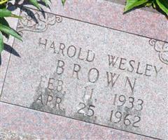 Harold Wesley Brown