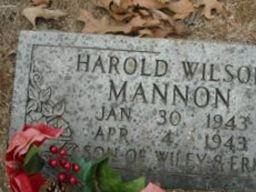 Harold Wilson Mannon