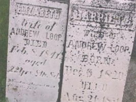 Harriet B. Farlow Loop