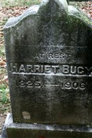 Harriet Bucy