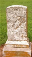 Harriet C Cooke