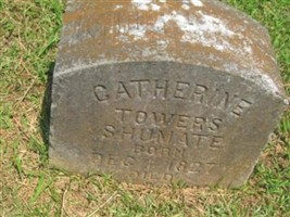 Harriet Catherine Towers Shumate