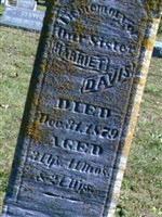 Harriet Davis
