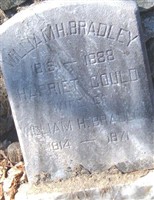 Harriet Gould Bradley Harriet Gould Bradley