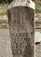 Harriet S. "Hattie" Brant Harter