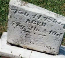 Harriet Haupt Hepler