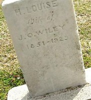 Harriet Louisa Peacock Wiley