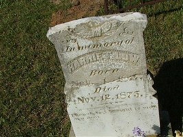 Harriet Low