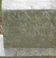 Harriet Neven Harriet Neven