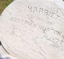 Harriet Norton Harriet Norton
