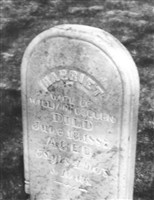 Harriet Osburn