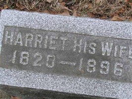 Harriet Tompsett