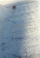 Harriet Tucker
