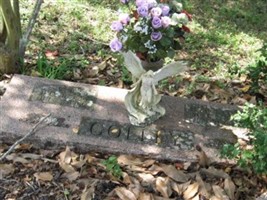 Harriett E Colley