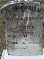 Harriett Ann Elizabeth Whetsell Johnston