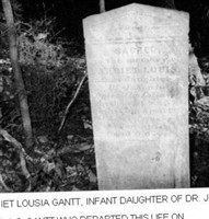 Harriett Louisa Gantt (2020130.jpg)