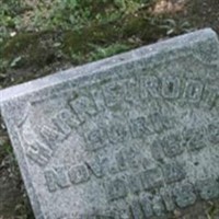 Harriett Root Harriett Root