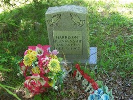 Harrison Blankenship Harrison Blankenship