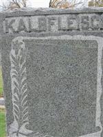 Harry A. Kalbfleisch