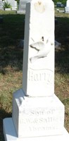Harry Abrams