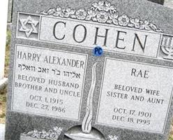 Harry Alexander Cohen