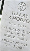 Harry Amodeo