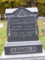 Harry Arnold