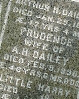 Harry B Dailey Harry B Dailey