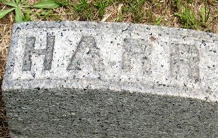 Harry B Dailey Harry B Dailey