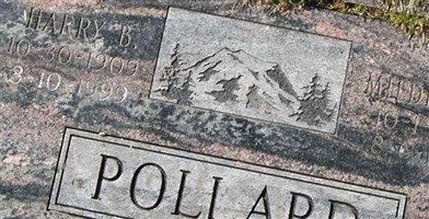 Harry B Pollard