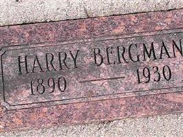 Harry Bergman