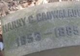 Harry C Cadwalader Harry C Cadwalader