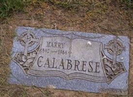 Harry Calabrese