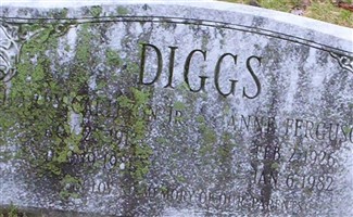 Harry Carlton Diggs, Jr Harry Carlton Diggs, Jr