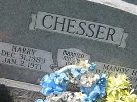 Harry Chesser