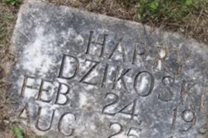 Harry Dzikoski Harry Dzikoski