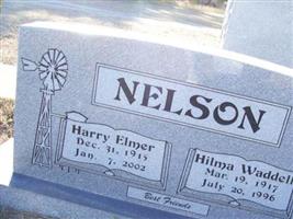 Harry Elmer Nelson