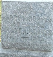 Harry F Groves