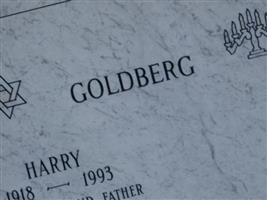 Harry Goldberg